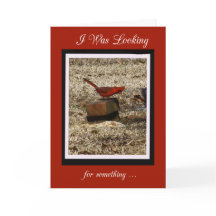 Northern Cardinal Birthday Card