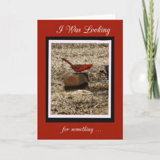 Northern Cardinal Birthday Card