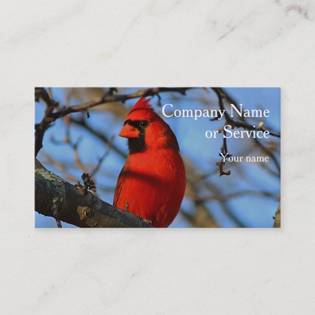 Northern cardinal business card (Front)