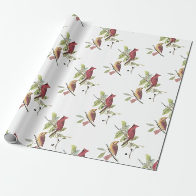 Northern Cardinal by Audubon Wrapping Paper (Unrolled)