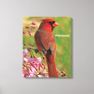 Northern Cardinal Canvas Print