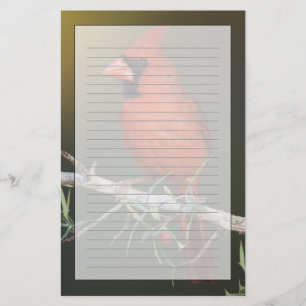 Northern Cardinal, Cardinalis cardinalis, male Stationery