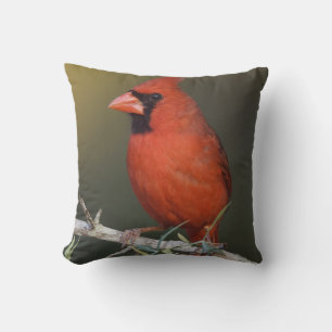 Northern Cardinal, Cardinalis cardinalis, male Throw Pillow