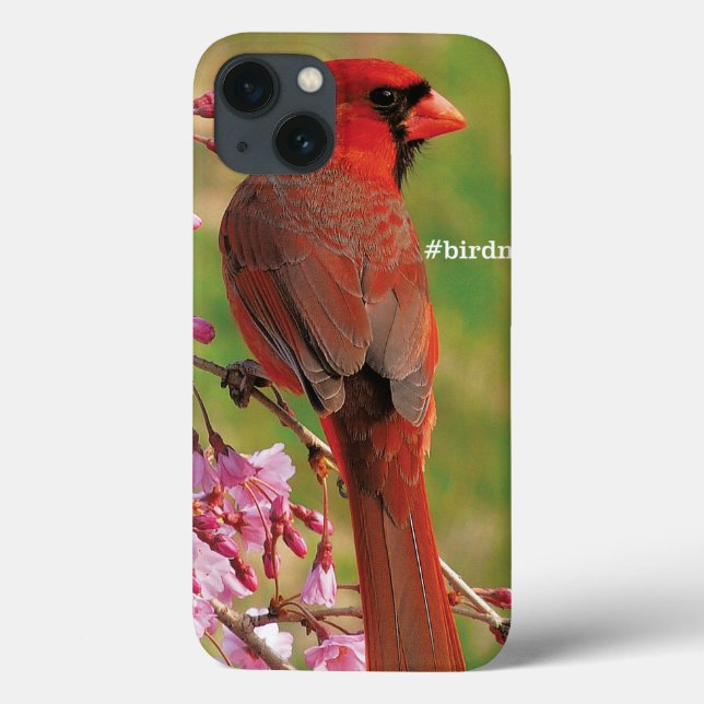 Northern Cardinal Case-Mate iPhone Case (Back)