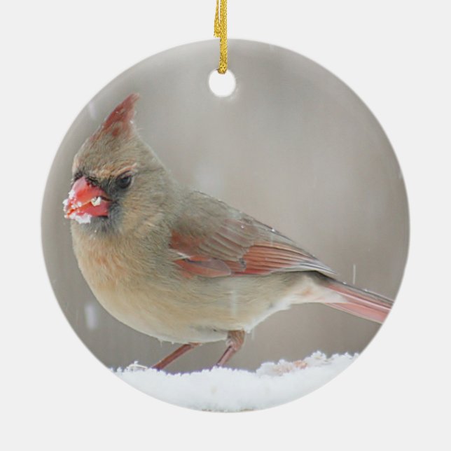 Northern Cardinal Ceramic Ornament (Back)