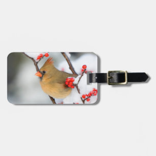 Northern Cardinal female on Common Winterberry Luggage Tag
