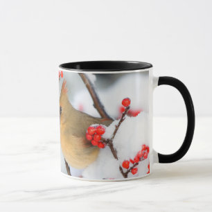 Northern Cardinal female on Common Winterberry Mug
