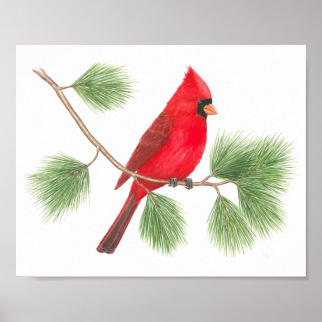 Northern Cardinal Fine Art Print (Front)