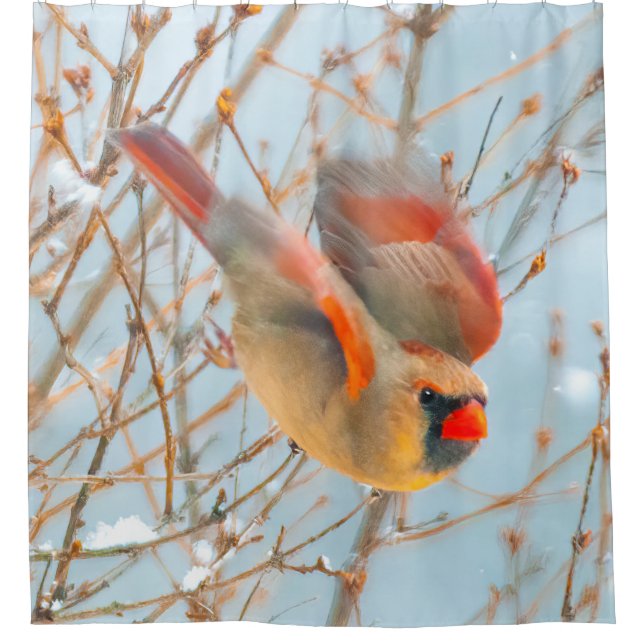 Northern Cardinal Flying - Original Photograph (Front)