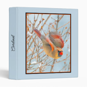 Northern Cardinal Flying - Original Photograph Binder