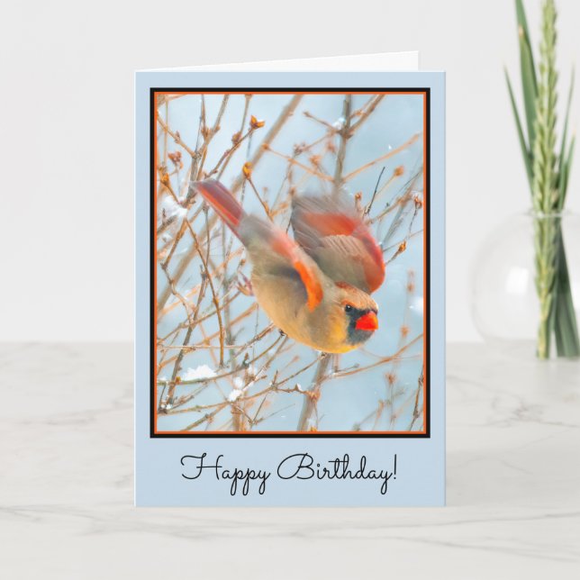 Northern Cardinal Flying - Original Photograph Card (Front)