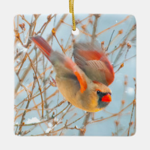 Northern Cardinal Flying - Original Photograph Ceramic Ornament