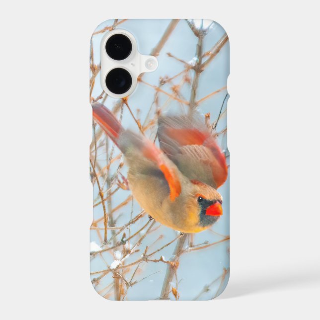 Northern Cardinal Flying - Original Photograph iPhone Case (Back)