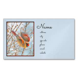 Northern Cardinal Flying - Original Photograph Magnetic Business Card
