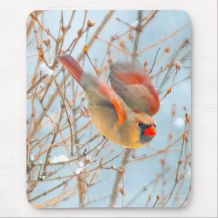 Northern Cardinal Flying - Original Photograph Mouse Pad