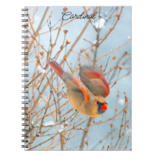 Northern Cardinal Flying - Original Photograph Notebook