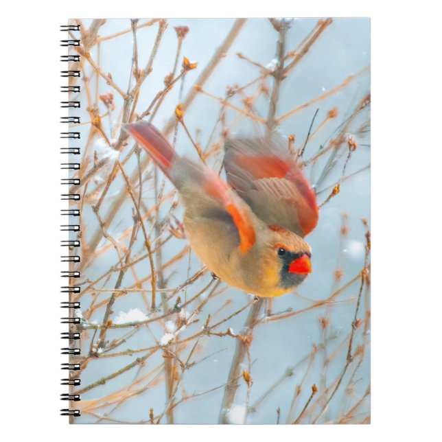Northern Cardinal Flying - Original Photograph Notebook (Front)