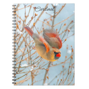 Northern Cardinal Flying - Original Photograph Notebook