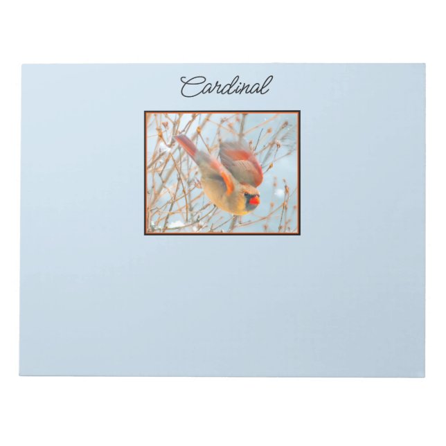 Northern Cardinal Flying - Original Photograph Notepad (Front)