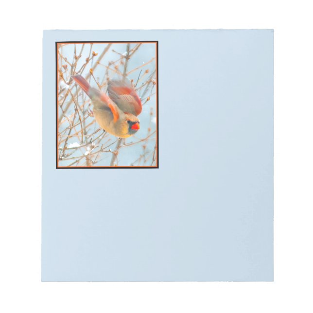 Northern Cardinal Flying - Original Photograph Notepad (Front)