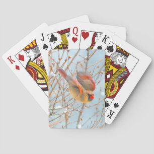 Northern Cardinal Flying - Original Photograph Playing Cards