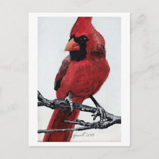 Northern Cardinal Holiday Postcard
