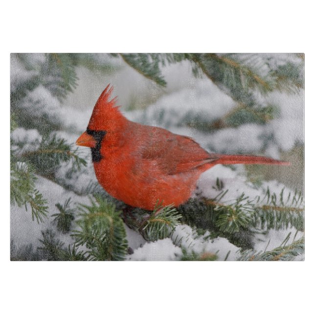 Northern Cardinal in Balsam fir tree in winter Cutting Board (Front)