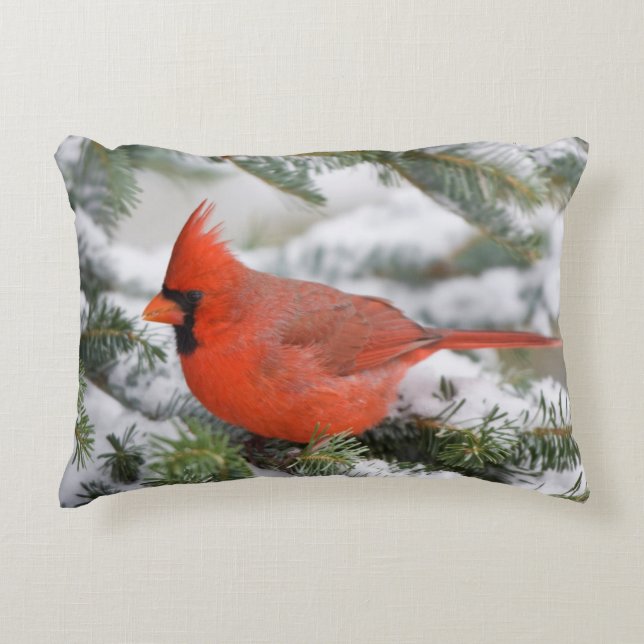 Northern Cardinal in Balsam fir tree in winter Decorative Pillow (Front)