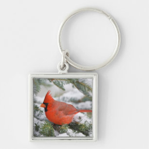 Northern Cardinal in Balsam fir tree in winter Keychain