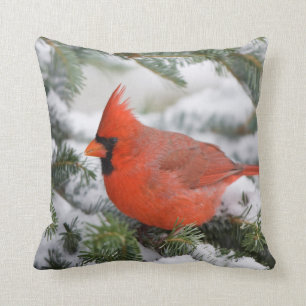 Northern Cardinal in Balsam fir tree in winter Throw Pillow