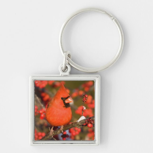 Northern Cardinal in Common Winterberry Keychain (Front)