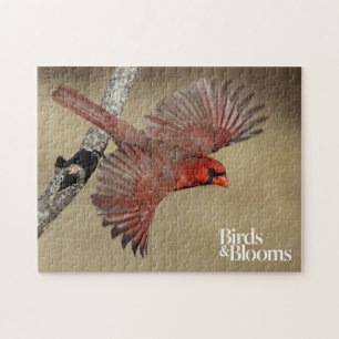 Northern Cardinal In Flight Jigsaw Puzzle