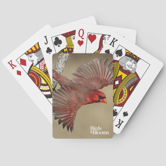 Northern Cardinal In Flight Playing Cards (Back)