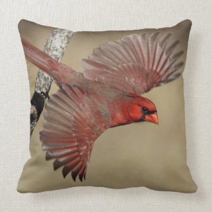Northern Cardinal In Flight Throw Pillow