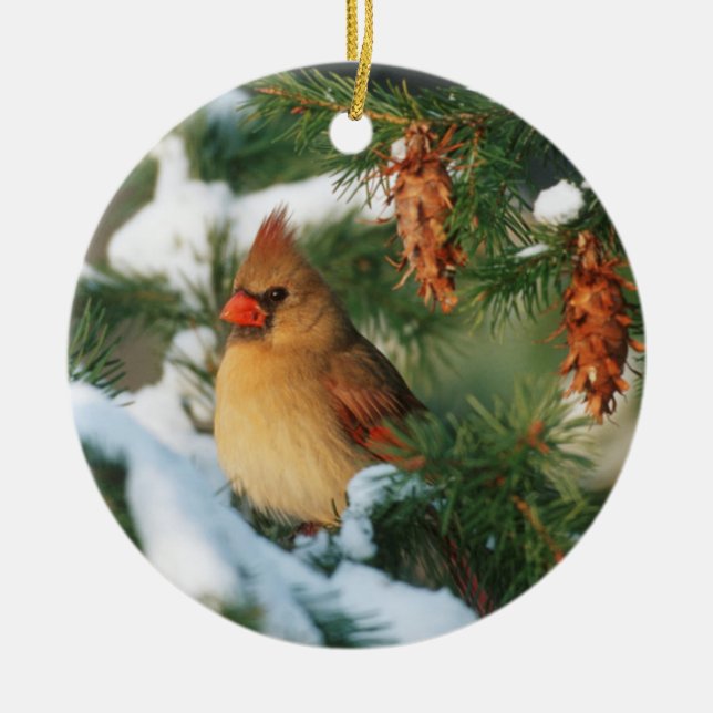 Northern Cardinal in tree, Illinois Ceramic Ornament (Front)