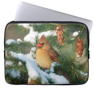 Northern Cardinal in tree, Illinois Laptop Sleeve