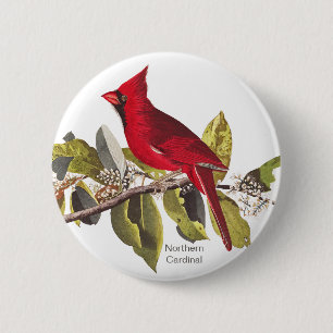 Northern Cardinal, John James Audubon, Red Bird, 2 Inch Round Button