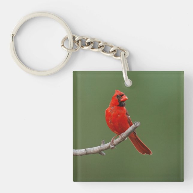 Northern Cardinal Keychain (Front)