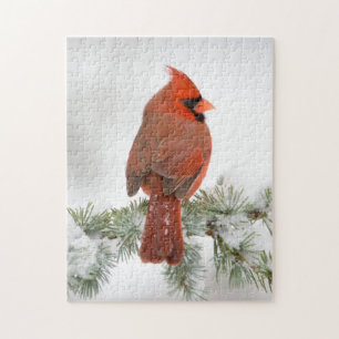 Northern Cardinal male on Blue Atlas Cedar Jigsaw Puzzle