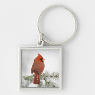 Northern Cardinal male on Blue Atlas Cedar Keychain