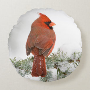Northern Cardinal male on Blue Atlas Cedar Round Pillow