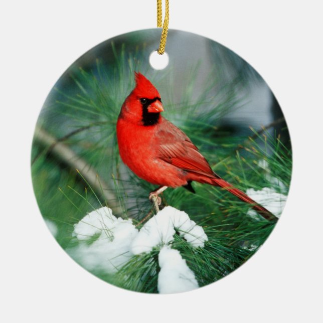 Northern Cardinal male on tree, IL Ceramic Ornament (Front)