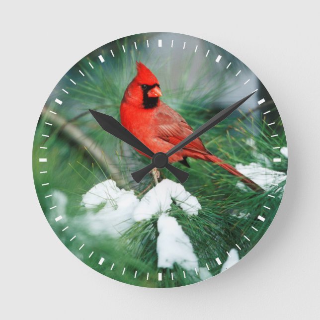 Northern Cardinal male on tree, IL Round Clock (Front)