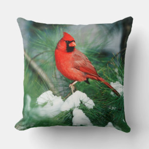 Northern Cardinal male on tree, IL Throw Pillow