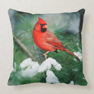 Northern Cardinal male on tree, IL Throw Pillow