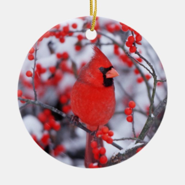 Northern Cardinal male, Winter, IL Ceramic Ornament (Front)