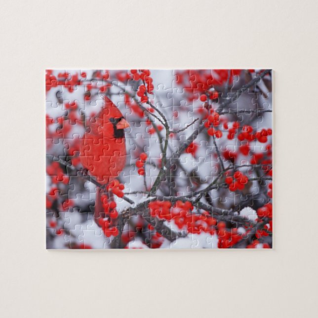 Northern Cardinal male, Winter, IL Jigsaw Puzzle (Horizontal)