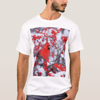 Northern Cardinal male, Winter, IL