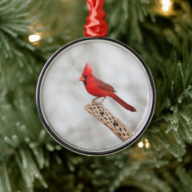 Northern Cardinal on a branch Metal Ornament (Tree)