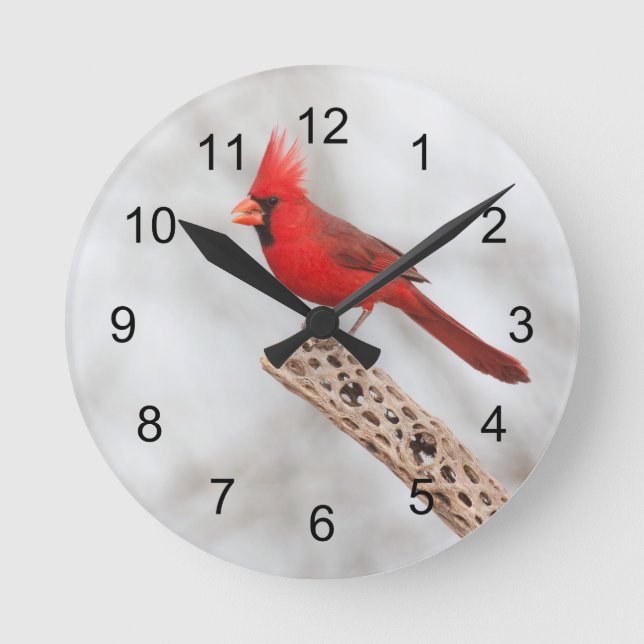 Northern Cardinal on a branch Round Clock (Front)